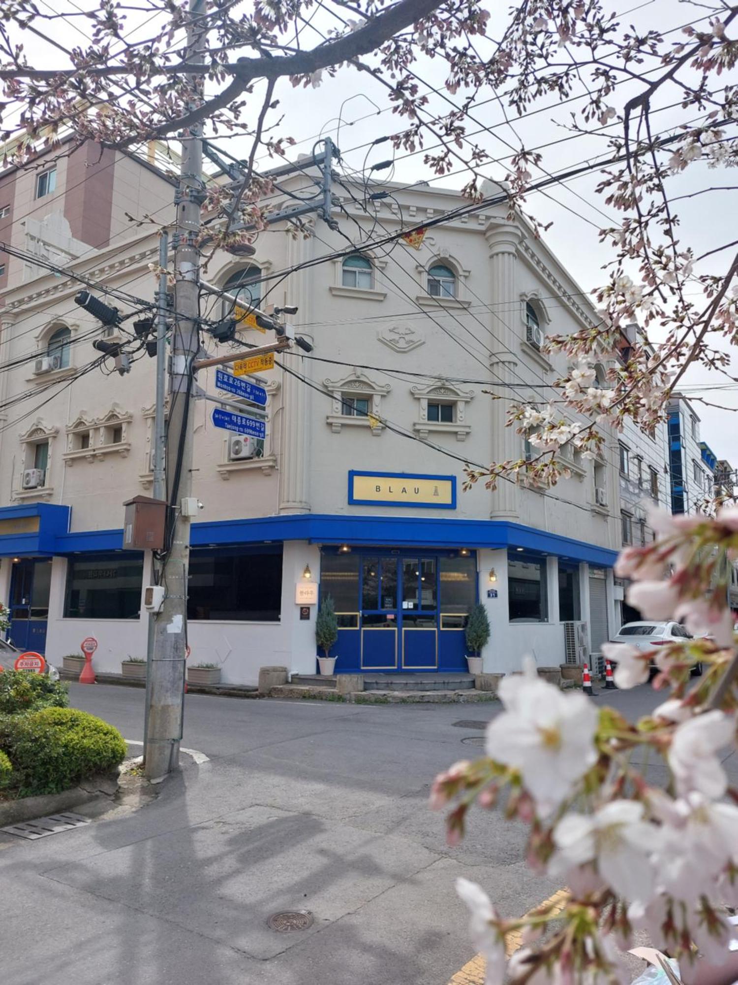 Blau Guesthouse Gyeongju Eksteriør billede